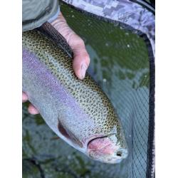 FISHING REPORTS Image